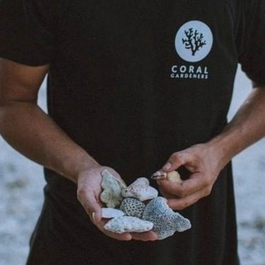 Coral Gardeners is a truly unique nonprofit based in French Polynesia, with the goal of saving and restoring coral reefs across the world and educating the public about these amazing ecosystems. Coral Gardeners has had massive success, from planting over 30,000 corals to reaching millions of people, thanks to contributions from people like you.